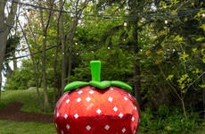 Gum Brand Activations