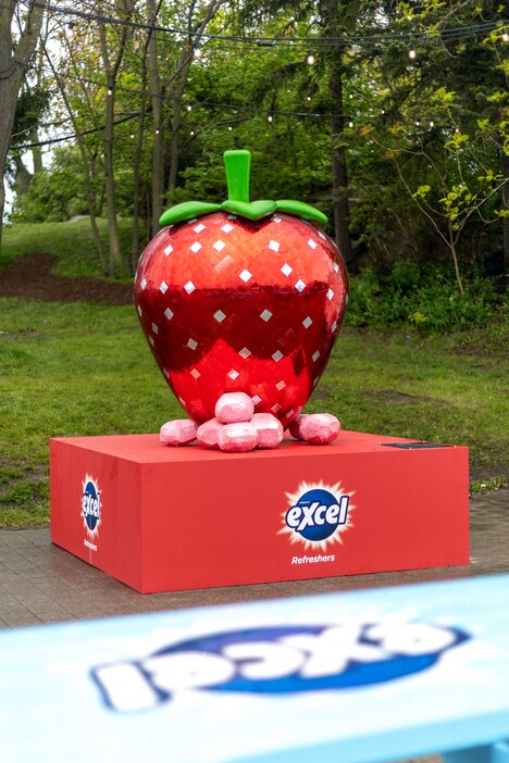 Gum Brand Activations