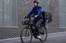 Professional-Targeted eBike Debuts