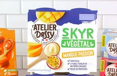 Dairy-Free Skyr Snacks