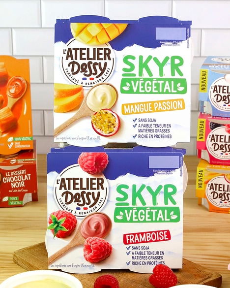 Dairy-Free Skyr Snacks