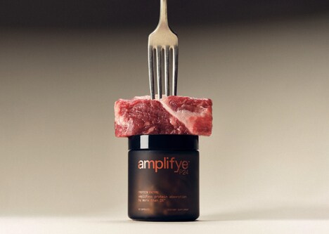 Protein Absorption-Enhancement Enzymes