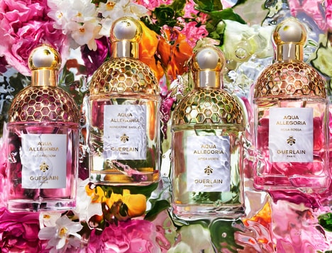Evocative Summer Fragrances