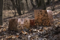 Nature-Inspired Modern Furniture Image 1
