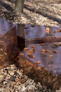 Nature-Inspired Modern Furniture Image 2