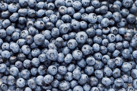 Blueberry Acceleration Programs
