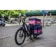 Payload-Focused eBike Models Image 1