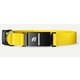 AI-Powered Dog Collars Image 2