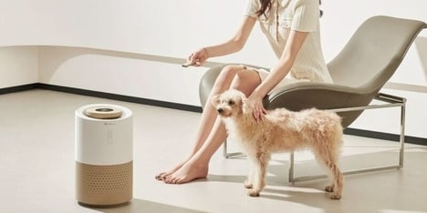 Pet-Specific Air Purifiers
