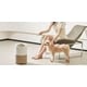 Pet-Specific Air Purifiers Image 1