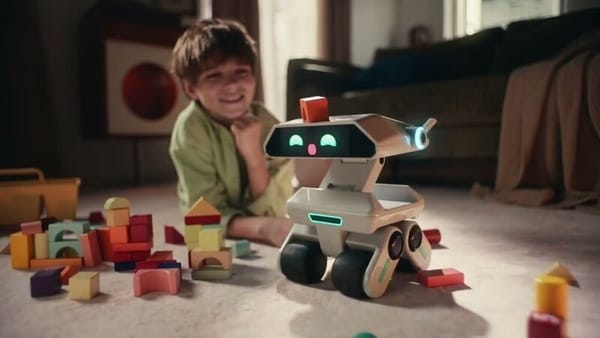 Emotional Companion Robots