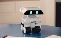 Emotional Companion Robots Image 5