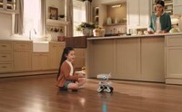 Emotional Companion Robots Image 6