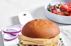 Plant Protein Cheese Slices