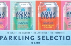 Summery Sparkling Water Packs