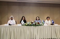 Youth Climate Leadership Projects