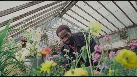 Botanically Inspired Fashion Lines