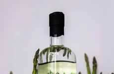 Savory Asparagus Gins