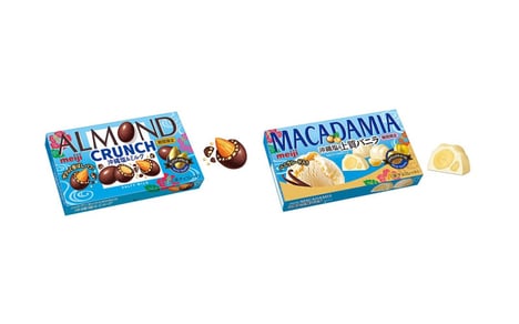 Salted Japanese Chocolate Confections