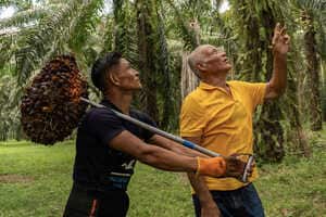 Central America-Focused Sustainability Initiatives Article Thubnail