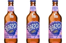 Tangy Tropical Cider Refreshments