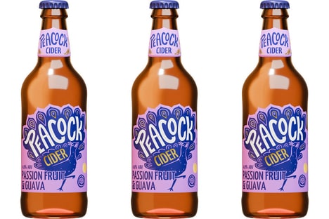 Tangy Tropical Cider Refreshments