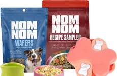 Dog Enrichment Kits