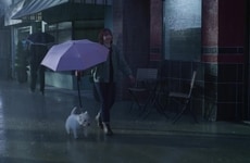 Heart-Warming Pet Owner Campaigns