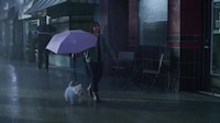 Heart-Warming Pet Owner Campaigns