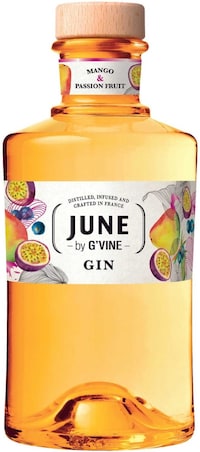 Tropical Flavor Profile Gins Image 1