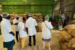 Biowaste Transformation Projects Article Thubnail