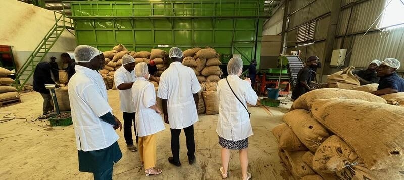 Biowaste Transformation Projects Article Thubnail