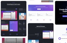Rapid Web Builders