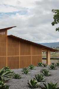 Mezcal-Producing Industrial Facilities Image 4