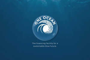 Collaborative Ocean Conservation Funds Article Thubnail