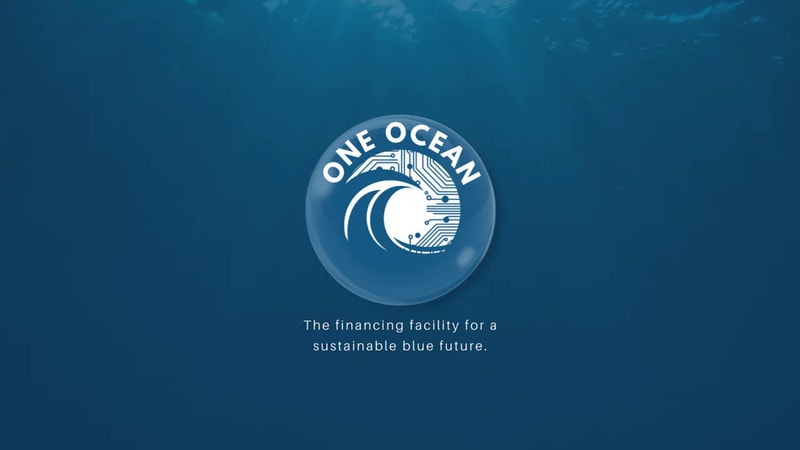 Collaborative Ocean Conservation Funds Article Thubnail