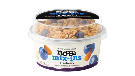 Topping-Paired Yogurt Snacks