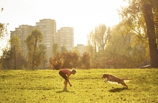Pet-Welcoming Urban Initiatives