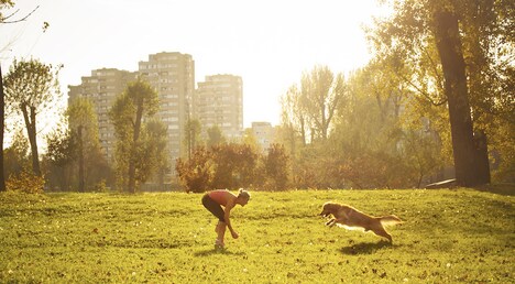 Pet-Welcoming Urban Initiatives