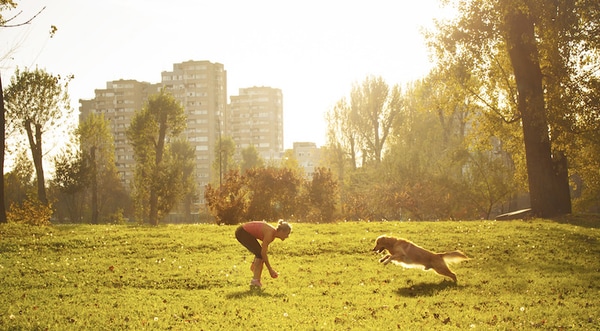 Pet-Welcoming Urban Initiatives