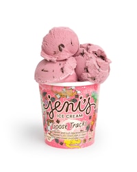 Berry-Chocolate Chip Ice Creams Image 1
