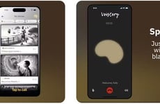 Voice Journal Assistants