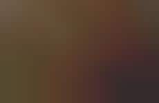 Actress-Starring Vodka Campaigns