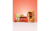 Summer-Themed Oat Bites