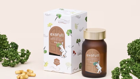 Longevity-Supporting Supplements