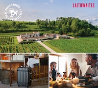 Immersive Global Wine Experiences