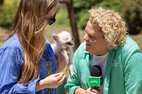 Dog Breath Challenges