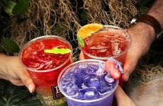 Southern-Style Energy Drinks