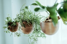 Water Catch-Integrated Planters