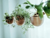 Water Catch-Integrated Planters Image 1